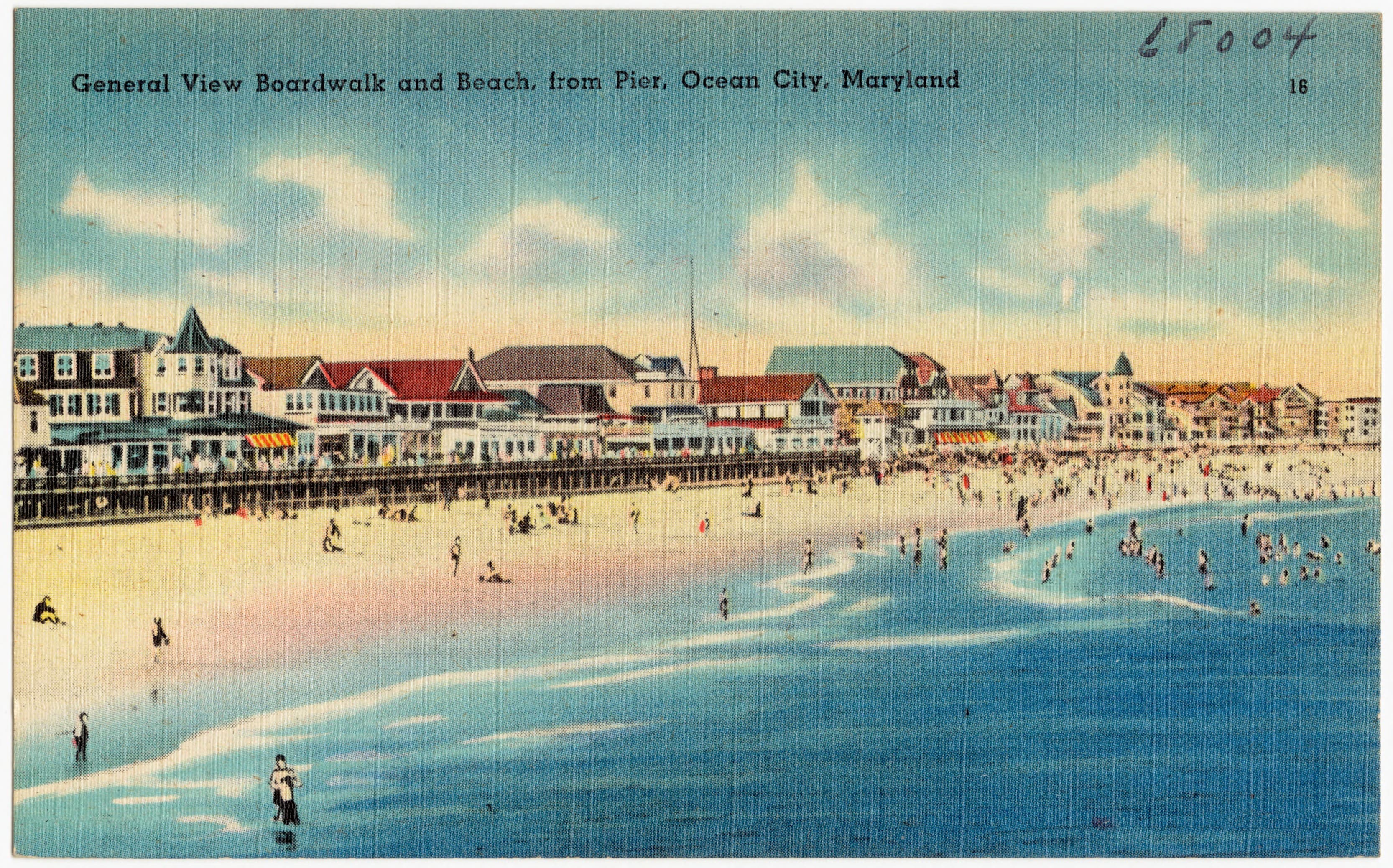 Vintage color postcard view north from the pier along Ocean City's beach and Boardwalk.